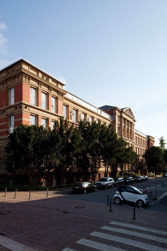 Organisation – Technische Universität Darmstadt