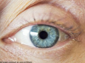 hoch3, Mai 2018, Seite 19