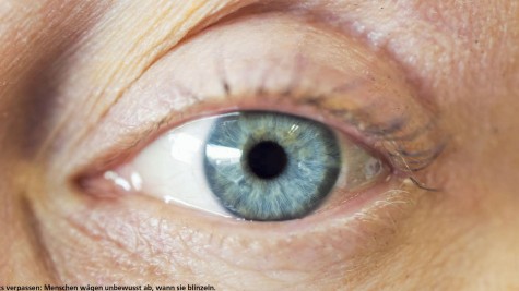 hoch3, Mai 2018, Seite 19