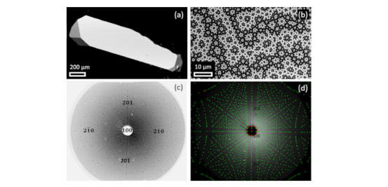 (a) SEM image of a (Nd0.85Ce0.15)2(Fe0.9Co0.1)14B single crystal used for magnetic measurements. (b) The uniaxial domain structure of the 2:14:1 phase
observed by MOKE microscope along the c-axis. (c) Laue X-ray diffraction pattern with incident beam along [100] of the crystal. (d) Simulated pattern of the
corresponding structure given by Clip software.