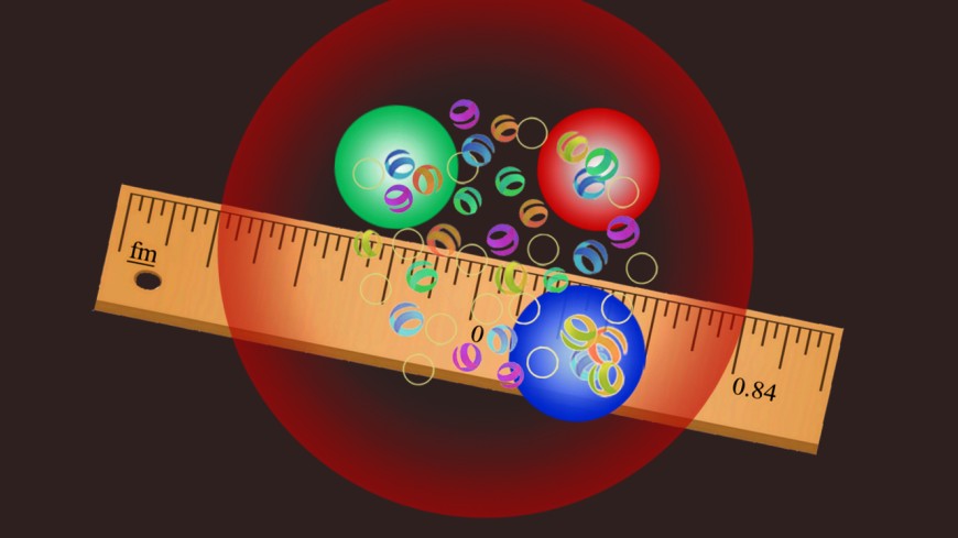 Das Proton (rot) hat einen Radius von 0,84 Femtometern (fm). In der Abbildung sind auch die drei Quarks dargestellt, aus denen sich das Proton zusammensetzt, sowie die Gluonen, die sie zusammenhalten.