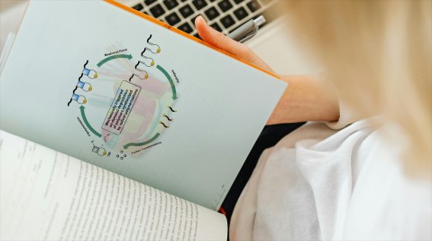 Grafik aus der Publikation "Mechanically triggered on-demand degradation of polymers synthesized by radical polymerizations".