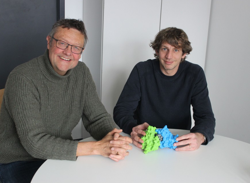 Prof. Dr. Felix Hausch (links) und Dr. Christian Meyners von MoProX optimieren einen molekularen Kleber, um gezielt Krankheits-auslösende Proteine angreifen zu können