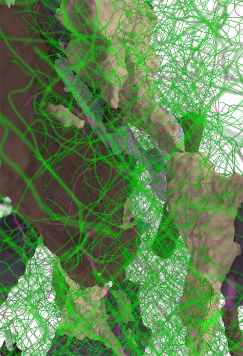 Simulationsmodell: Blick in den simulierten Tantalkristall. Bild: Alexander Stukowski