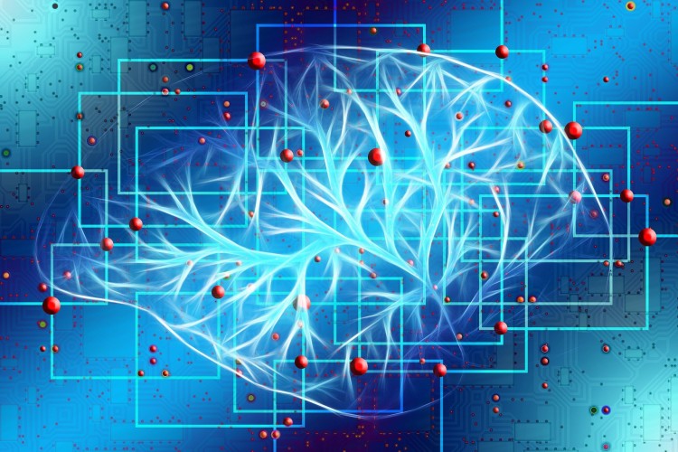Grafik als Symbol für Künstliche Intelligenz: Linien und Schaltkreise in Form eines Gehirns