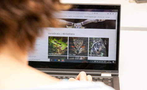 Die zoologische Bilddatenbank DigiTIB, die als digitales Lernwerkzeug unterstützend in Bestimmungsübungen eingesetzt werden kann.