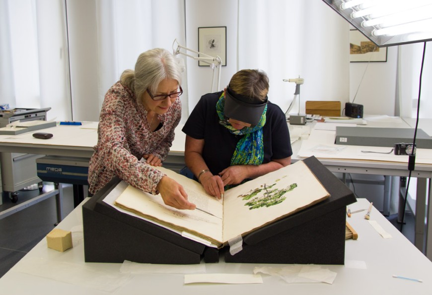 Kirstin Schellhaas, Leiterin der ULB-Restaurierwerkstatt, und Restauratorin Vera Gunder beugen sich über einen Band der Flora Graeca. Bild: Paul Glogowski