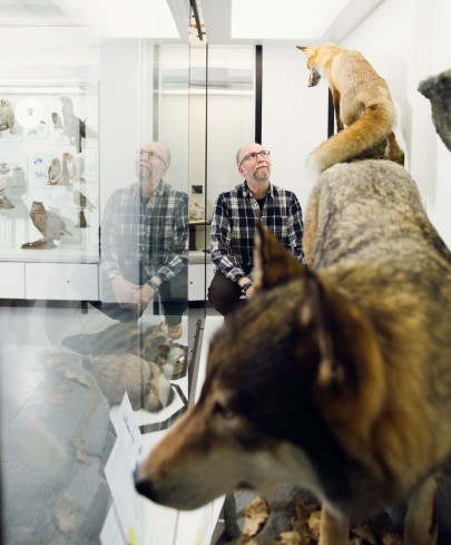 Präparator Berend Koch. Bild: Katrin Binner