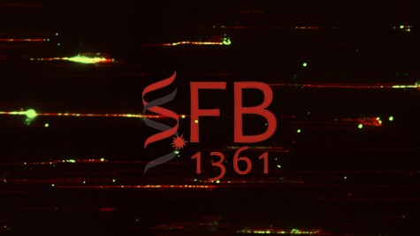 SFB 1361 Regulation von DNA-Reperatur und Genomstabilität