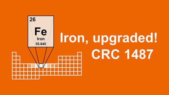 Iron, upgraded! CRC 1487