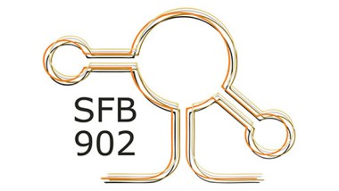 SFB 902 Molekulare Mechanismen der RNA-basierten Regulation