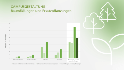 Übersicht über die Anzahl gefällter und neugepflanzter Bäume an der TU