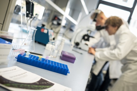 studentsofTUdarmstadt und students@school im Biologie-Labor, verschiedene Utensilien wie Reagenzglas, Kolben, Becherglas, Pipetten im Vordergrund, im Hintergrund mikroskopieren mehrere Studierende.