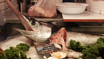 swordfish #studentsofTUdarmstadt