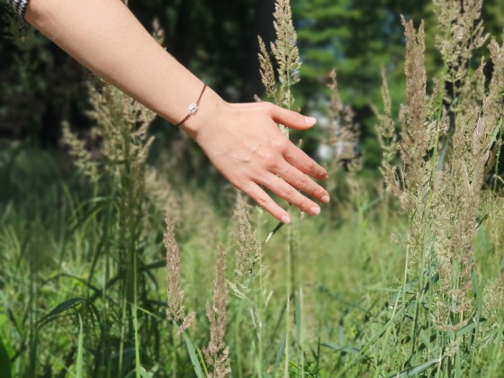 #studentsofTUdarmstadt, Nachhaltigkeit: Wiese mit hohem Gras, Hand streift hindurch. // Sustainability: Meadow with tall grass, hand brushes through it. 