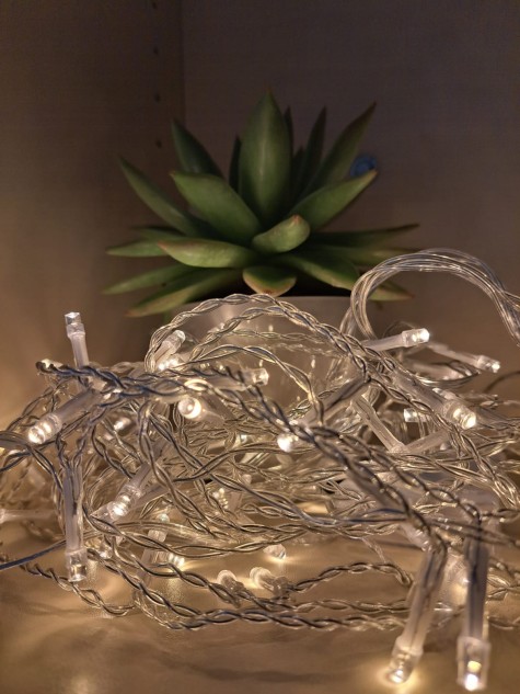 #studentsofTUdarmstadt, Energie sparen, Lichterketten, Steinblumen. // #studentsofTUdarmstadt, saving energy, fairy lights, stone flowers